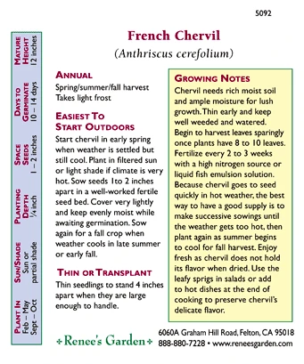 Renee's Garden Chervil French (Heirloom) 3 Renee's Garden Chervil French (Heirloom) - Image 3