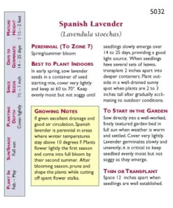 Renee's Garden Spanish Lavender Purple Ribbons -Grow Organic Sales Shop snv4093 pb 1