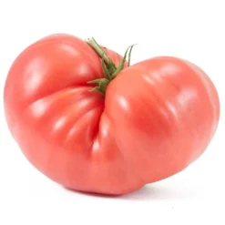 Prudens Purple Tomato Seeds (Organic) -Grow Organic Sales Shop snv8193 2 1