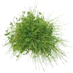 Peaceful Valley Sierra Foothill Dryland Mix - Nitrocoated Seed (lb) -Grow Organic Sales Shop spd600 c