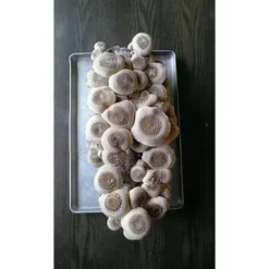 Shiitake Mushroom Block -Grow Organic Sales Shop spr200 2 web