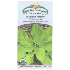 Strictly Medicinal Organic Plantain Broadleaf